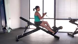 Biceps Curl (Single Leg)