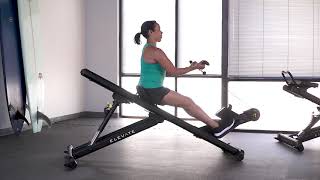 Biceps Curl (Locked)