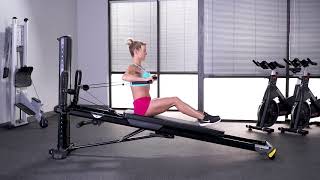 Chest Press