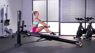 Chest Press (Decline)