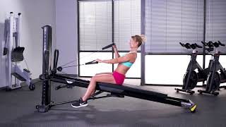 Biceps Curl (Reverse Grip, Single Arm)