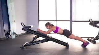 Plank (Basic)
