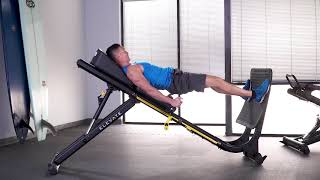 Plie Bridge Squat